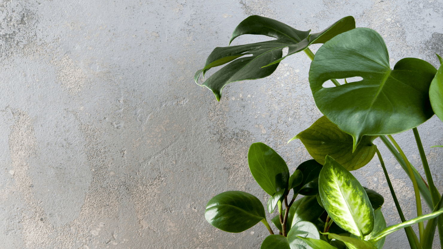 Hållbara inköp hos Ada Service Partner